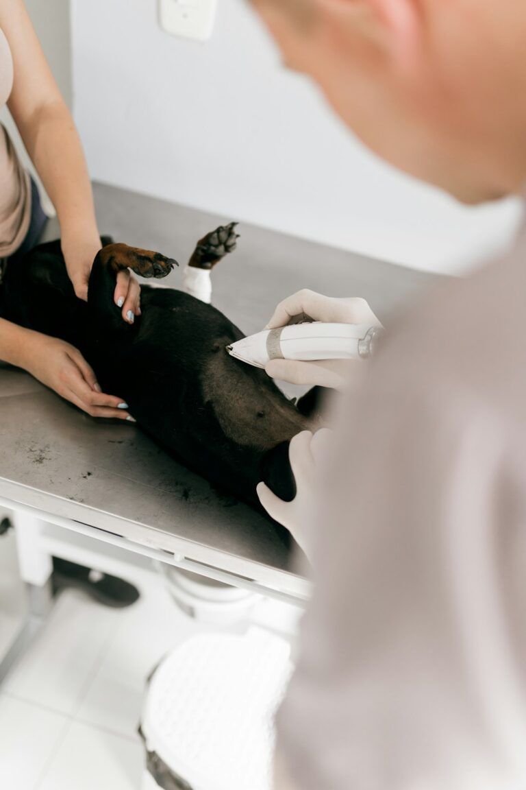 A pet owner reviews veterinary paperwork beside a dog and a household budget notebook.